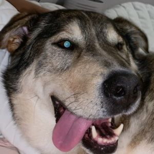 Meet your Posher, Danna